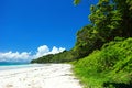 Blue sky and clouds in Havelock island. Andaman islands, India