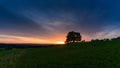 Amazing sunset background. Blue sky and clouds. Meadow and cows