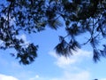 Blue sky and clouds at the mountain