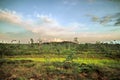 Blue sky and clouds observing over swamp Royalty Free Stock Photo