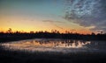 Blue sky and fog observing over swamp Royalty Free Stock Photo