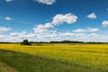 Blue sky with clouds over a field covered with flowers Royalty Free Stock Photo