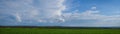 Blue sky with clouds over a field of young green wheat panoramic web banner