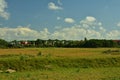 Blue sky and clouds over a green field in summer, in the background the forest. Royalty Free Stock Photo