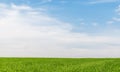 Blue sky with clouds over green grass field Royalty Free Stock Photo