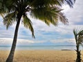 Blue sky and clouds over a tropical beach with green palm trees in Playa Larga, Cuba Royalty Free Stock Photo