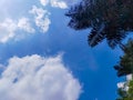 Blue Sky with Clouds And Palm Coconut Trees Summer Landscape Royalty Free Stock Photo