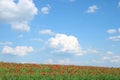 Blue sky with clouds and poppies flower meadow in spring countryside Royalty Free Stock Photo