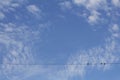 Blue sky with clouds. Three birds are sitting on a wire Royalty Free Stock Photo