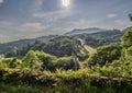 Blue Sky, Clouds and Trees over Hills in Snowdonia Wales Summer Landscape Royalty Free Stock Photo