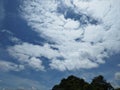 blue sky clouds and trees