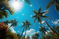 Blue sky with clouds and a view of palm trees from below. Tropical beach and summer background, travel and vacation concept Royalty Free Stock Photo