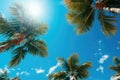 Blue sky with clouds and a view of palm trees from below. Tropical beach and summer background, travel and vacation concept Royalty Free Stock Photo