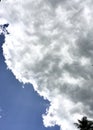 blue sky with cloudy black white coconut tree