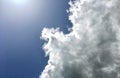 blue sky with cloudy black white green leaves background