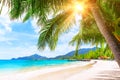 Blue sky, coconut palm trees and beautiful sand beach in Koh Tao, Thailand Royalty Free Stock Photo