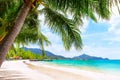 Blue sky, coconut palm trees and beautiful sand beach in Koh Tao, Thailand Royalty Free Stock Photo