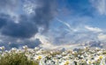 Blue sky dramatic clouds at gold sunset at sea wild flowers daisy field seascape summer nature landscape sunbeam