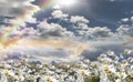 Blue sky dramatic clouds at gold sunset at sea wild flowers daisy field  seascape summer nature landscape sunbeam Royalty Free Stock Photo