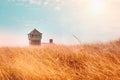 Blue sky and dunes with grass in front of the life saving building in Provincetown Royalty Free Stock Photo