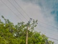 Blue Sky with Electricity Pylon and Power Lines Amidst Trees Royalty Free Stock Photo