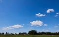 Blue sky with few white clouds over a green meadow with grazing cows and single trees, copy space Royalty Free Stock Photo
