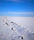 Blue Sky and a Field Covered With Snow, a Rural Landscape. Royalty Free Stock Photo