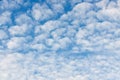 Blue sky filled with beautiful fluffy clouds Royalty Free Stock Photo