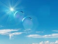 Blue sky flares ,sunbeams ,Parachute Skydiving sport ,white clouds sunlight nature skyline