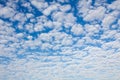 Blue sky with fleecy clouds