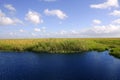 Blue sky in Florida Everglades Royalty Free Stock Photo