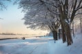 Blue sky, forest tree branch top in snow. Wonderful fairytale Christmas New Year weather. Winter background for Royalty Free Stock Photo