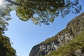 Blue sky through forest trees and bush-clad rock bluff Royalty Free Stock Photo