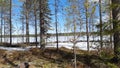 Winter walk on the ice of Karelian lake