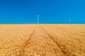 Blue sky and golden wheat field with wind turbines generating electricity, agriculture and technology Royalty Free Stock Photo