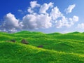 Blue sky and grass