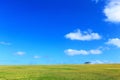 Blue sky and green field Royalty Free Stock Photo