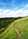 Blue Sky Green Fields