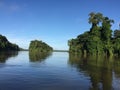 Blue sky and green forest on the Maroni in French Guiana Royalty Free Stock Photo