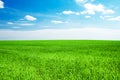 Modrá obloha a zelená tráva 