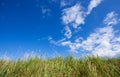 Blue sky and green grass