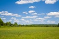 Blue sky and Green Grass Royalty Free Stock Photo