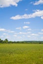 Blue sky and Green Grass