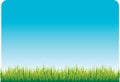 Blue sky and green grass Royalty Free Stock Photo