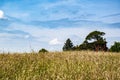 Blue sky green tree red house yellow field Royalty Free Stock Photo