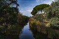 Blue sky, green trees and streams of water.