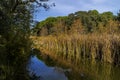 Blue sky, green trees and streams of water.