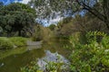 Blue sky, green trees and streams of water.