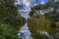 Blue sky, green trees and streams of water.