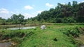 Blue sky with greenery ponds